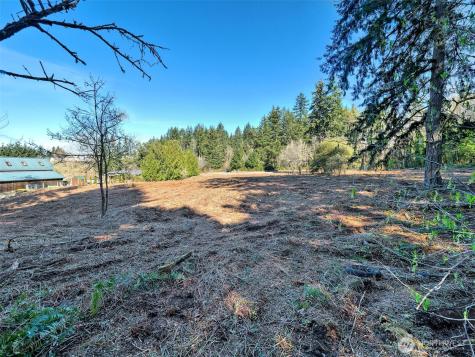 0 22nd Avenue NW Gig Harbor WA 98335