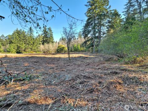 0 22nd Avenue NW Gig Harbor WA 98335