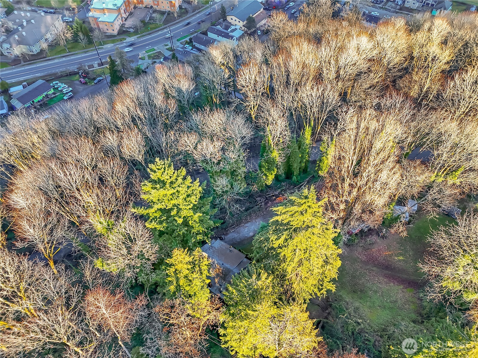 4729 Mount View Drive S Seattle WA 98108