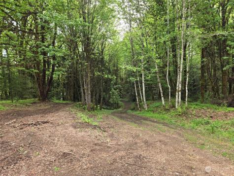 961 E Rasor Road Belfair WA 98528