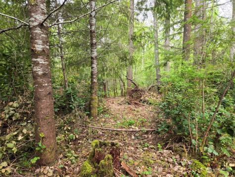 961 E Rasor Road Belfair WA 98528
