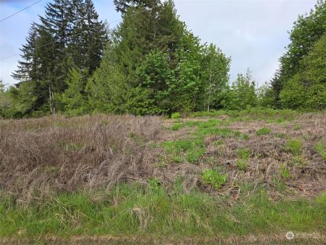 961 E Rasor Road Belfair WA 98528
