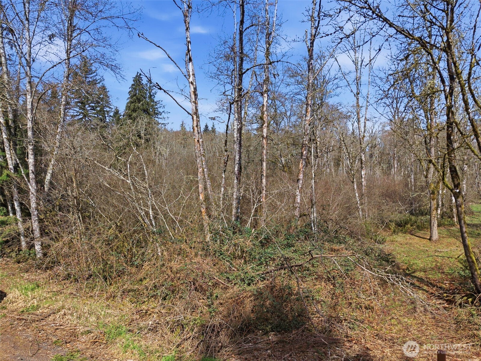 0 Viewridge Road Onalaska WA 98570