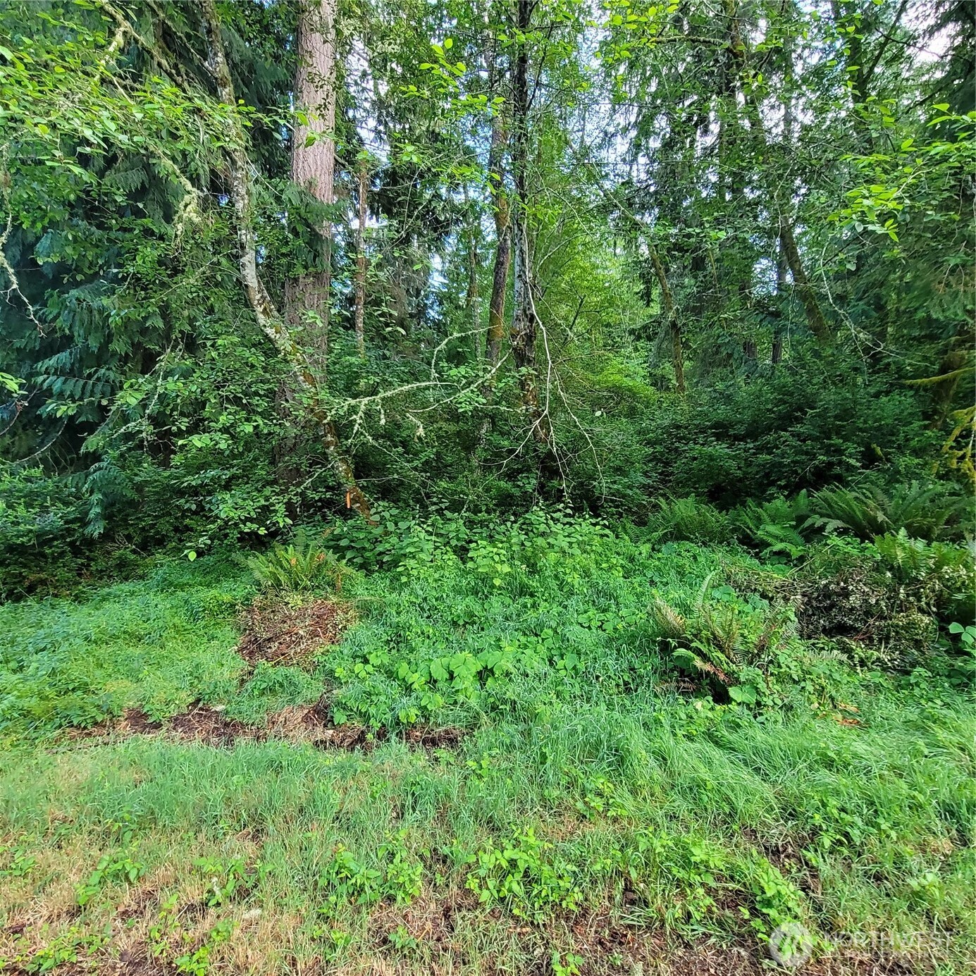 12726 96th Street Court Anderson Island WA 98303