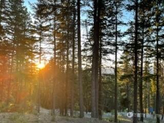 170 Pumphouse Hill Road Cle Elum WA 98922