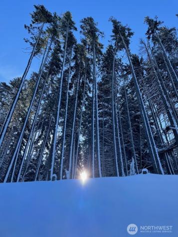 170 Pumphouse Hill Road Cle Elum WA 98922