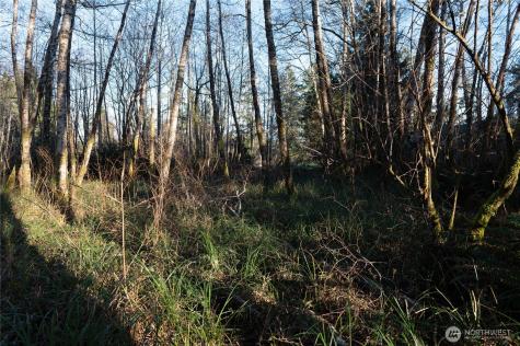0 W Newell Avenue Westport WA 98595