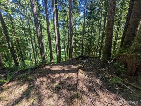 999 Kallman Road Forks WA 98331