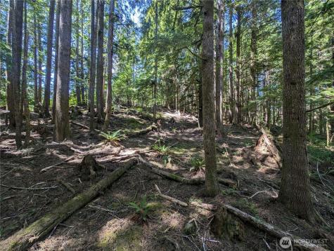 999 Kallman Road Forks WA 98331