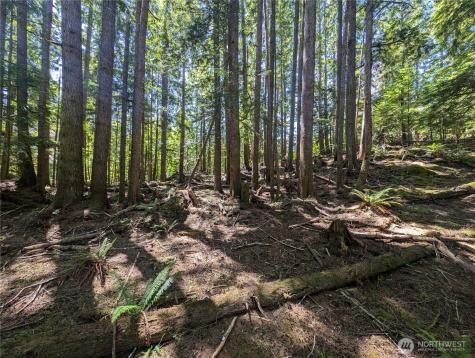 999 Kallman Road Forks WA 98331