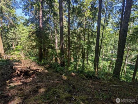 999 Kallman Road Forks WA 98331