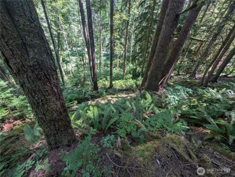 999 Kallman Road Forks WA 98331