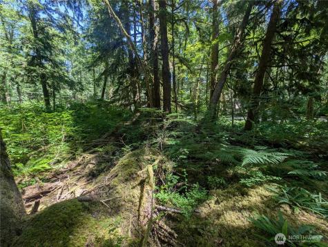 999 Kallman Road Forks WA 98331