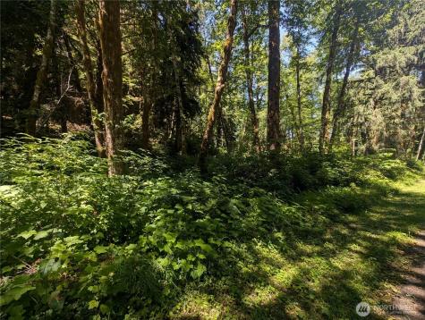 999 Kallman Road Forks WA 98331