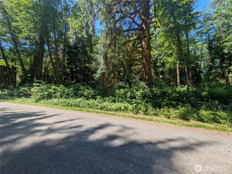 999 Kallman Road Forks WA 98331