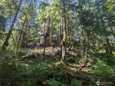 999 Kallman Road Forks WA 98331