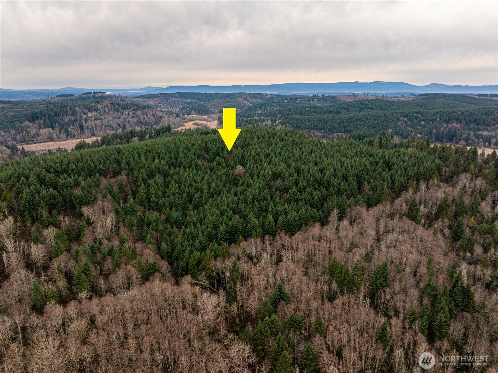 216 Zenkner Valley Road SW Centralia WA 98531