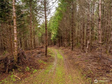 216 Zenkner Valley Road SW Centralia WA 98531