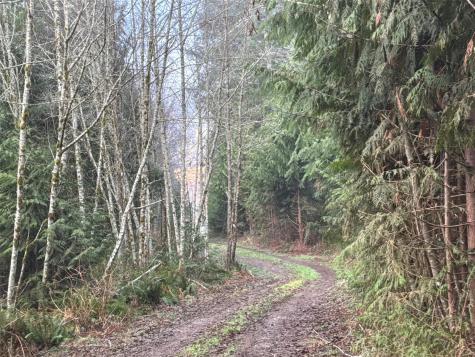 216 Zenkner Valley Road SW Centralia WA 98531