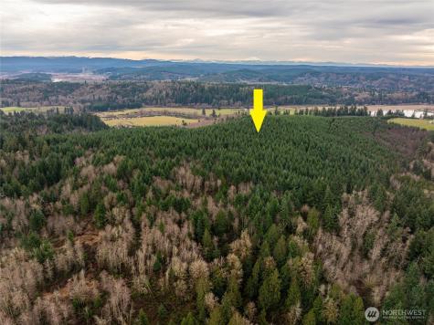 216 Zenkner Valley Road SW Centralia WA 98531