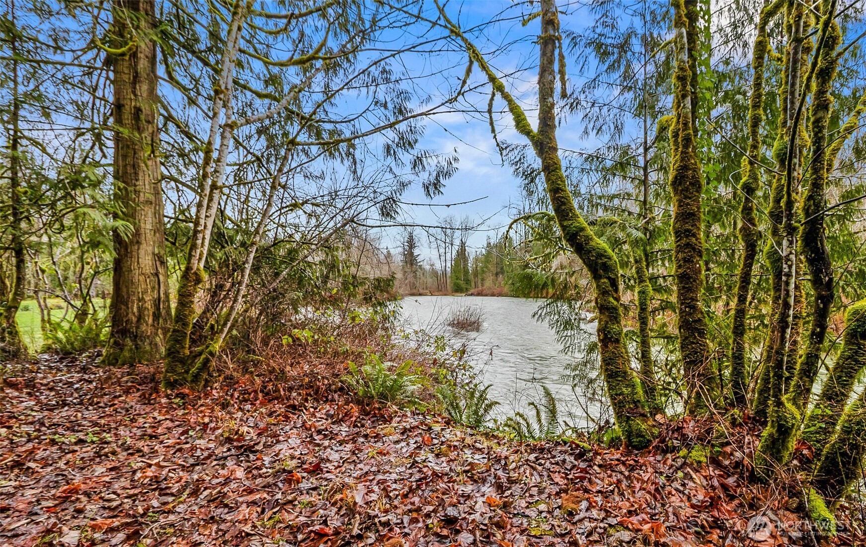 13916 302nd Avenue SE Monroe WA 98272