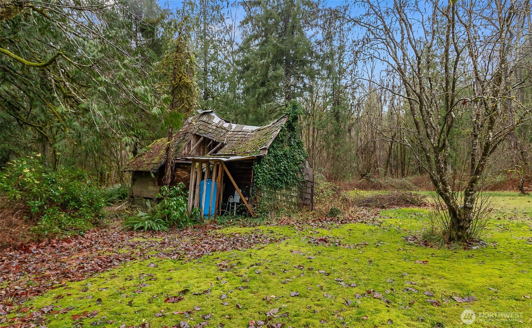 13916 302nd Avenue SE Monroe WA 98272