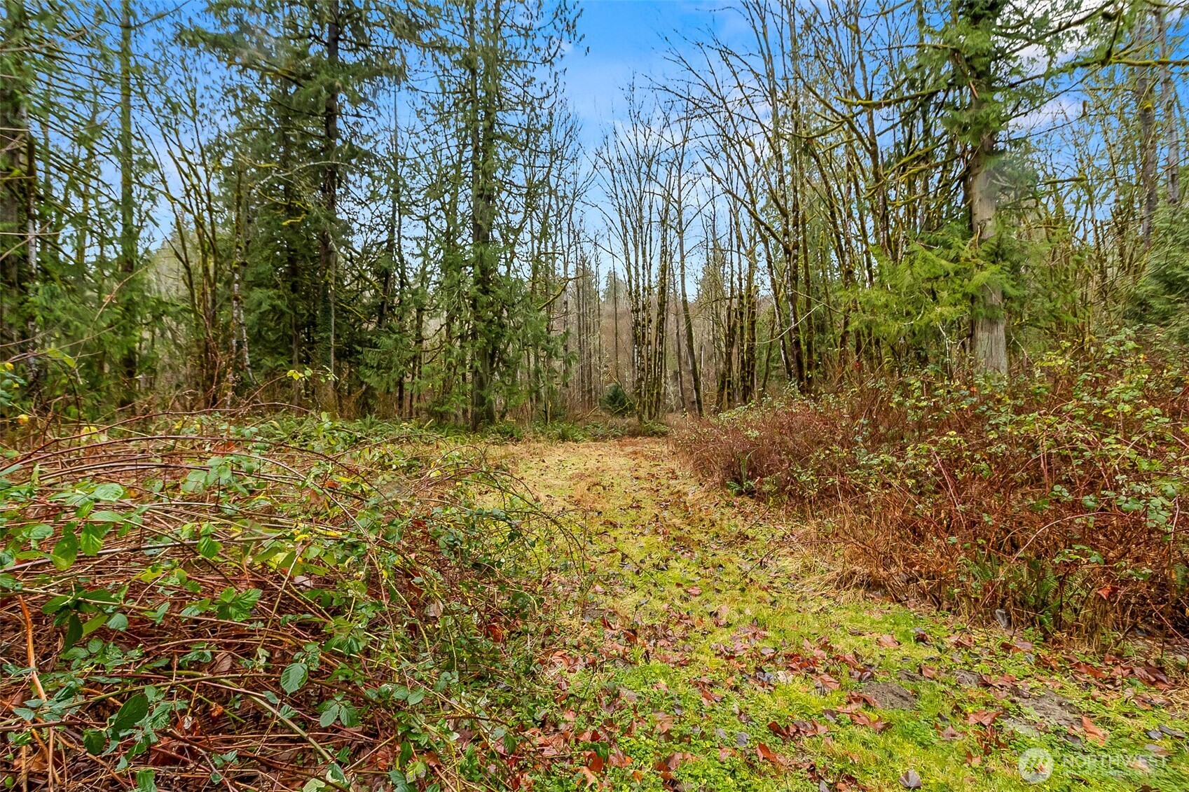13916 302nd Avenue SE Monroe WA 98272