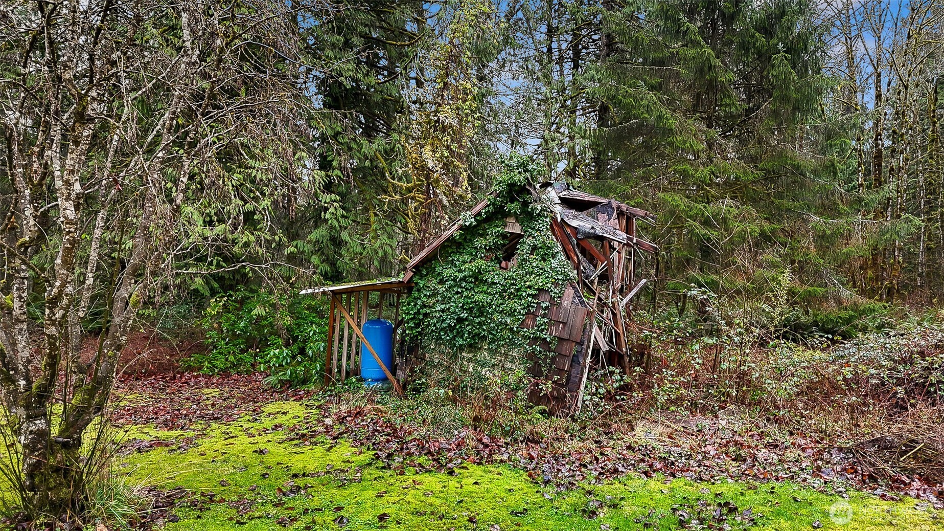 13916 302nd Avenue SE Monroe WA 98272