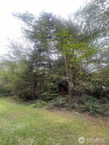 0 Bay Lane South Bend WA 98586