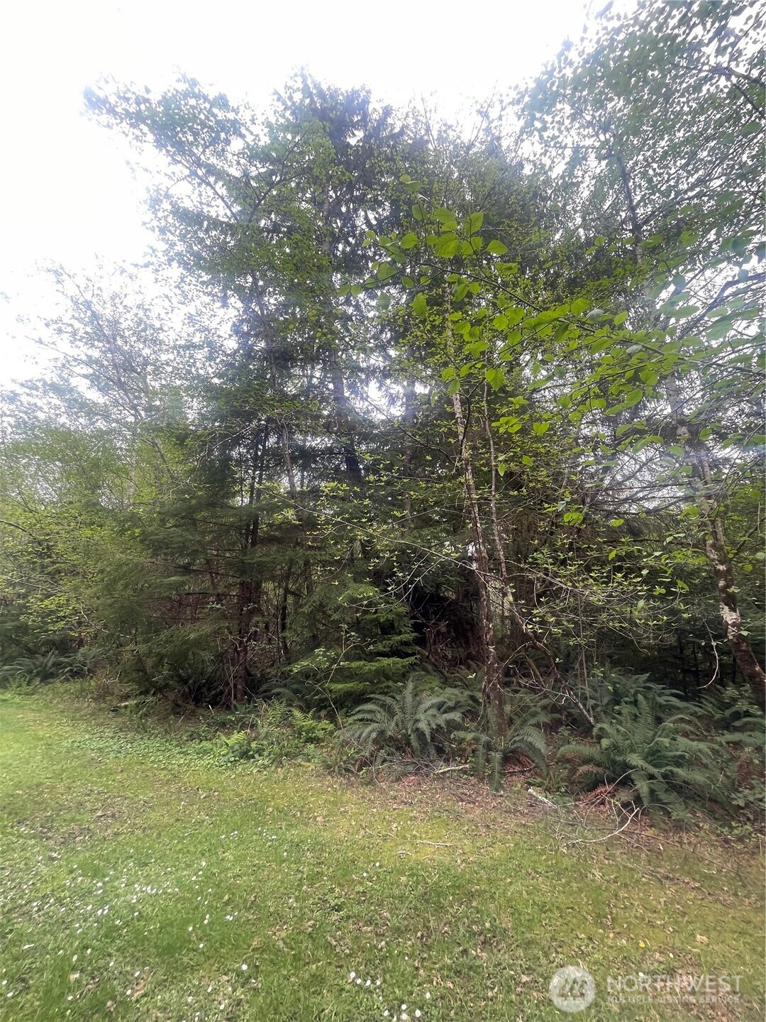 0 Bay Lane South Bend WA 98586