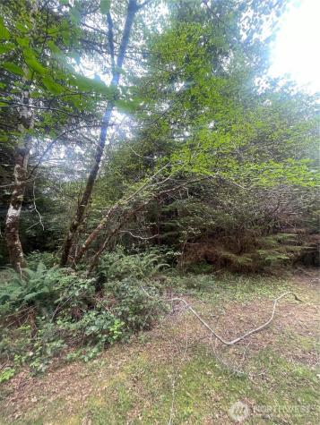 0 Bay Lane South Bend WA 98586
