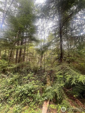 0 Bay Lane South Bend WA 98586
