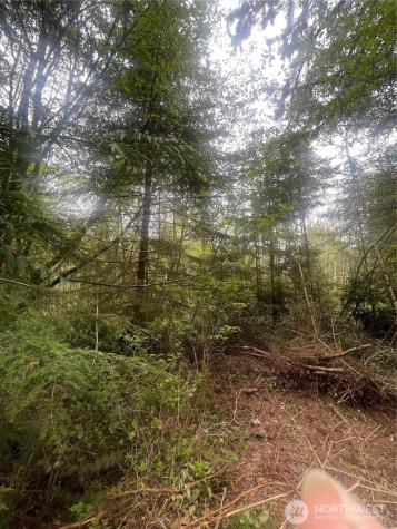 0 Bay Lane South Bend WA 98586