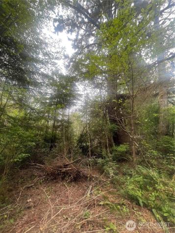 0 Bay Lane South Bend WA 98586