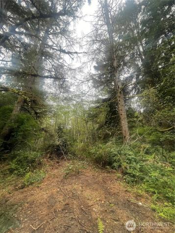 0 Bay Lane South Bend WA 98586