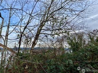 97 Xx Arrowsmith Avenue S Seattle WA 98118