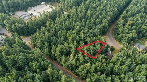 11620 Mill Place Anderson Island WA 98303