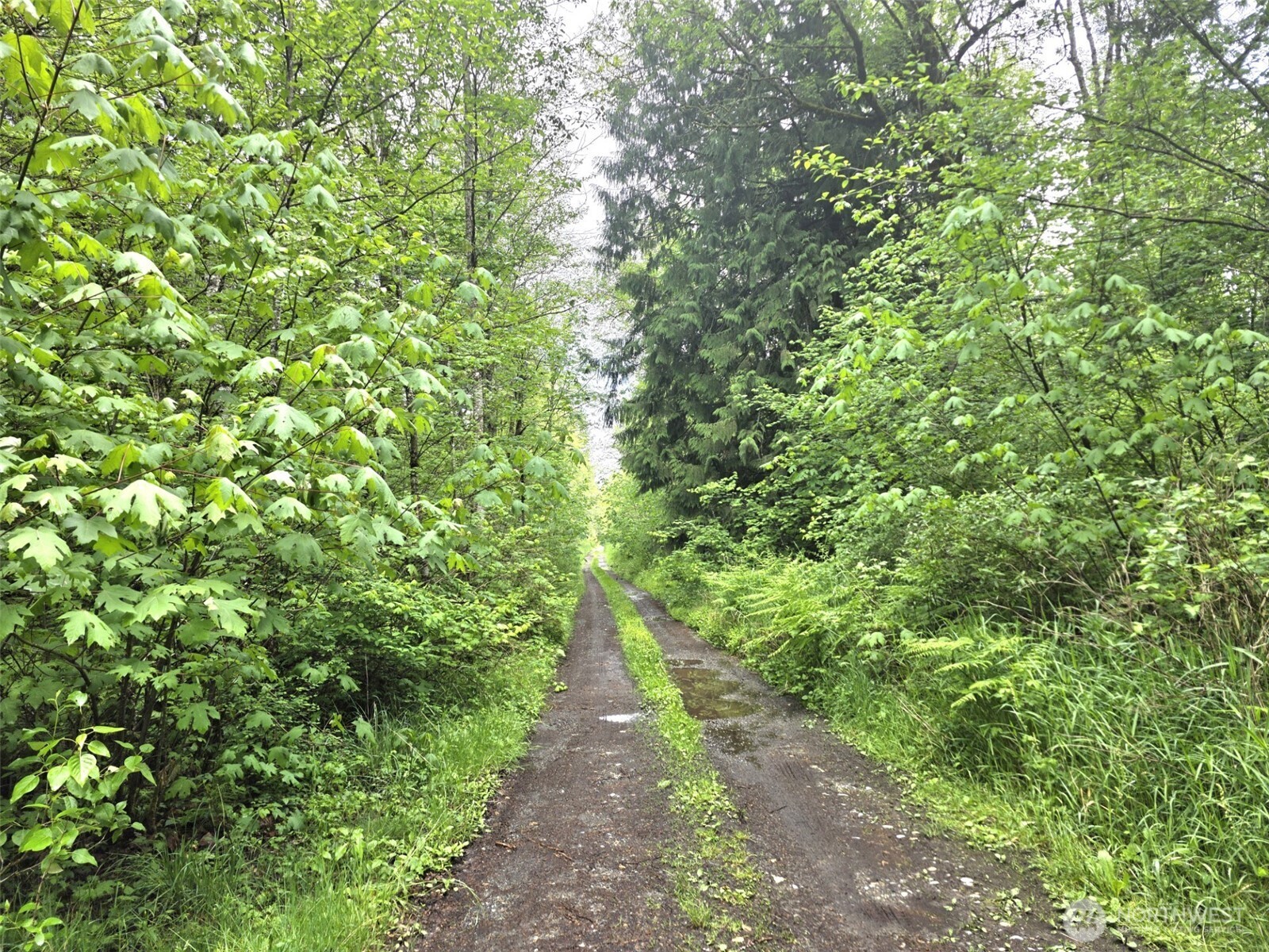 36610 48th Avenue S Roy WA 98580