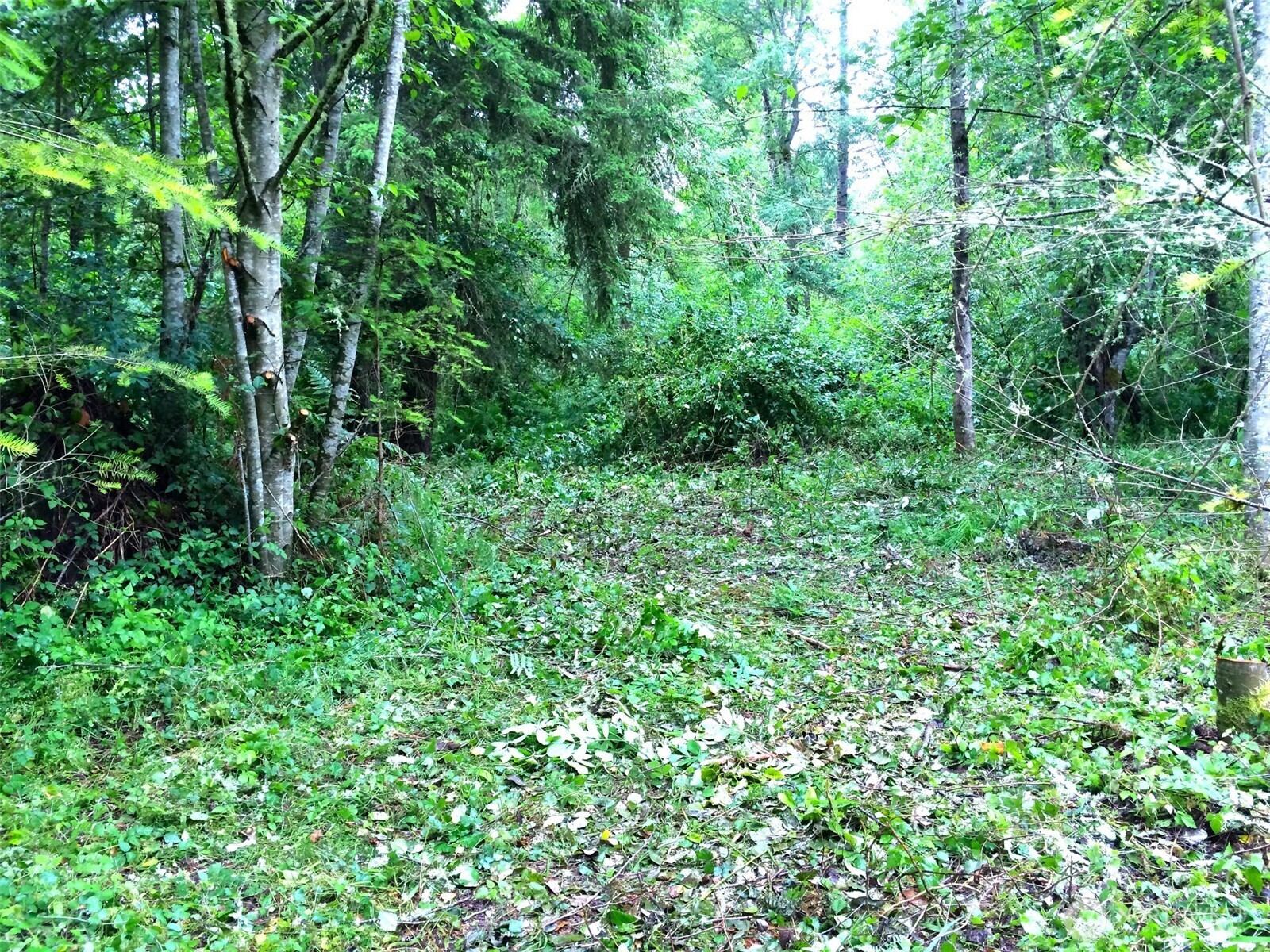 36610 48th Avenue S Roy WA 98580