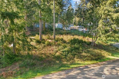 10514 100th Street Court Anderson Island WA 98303