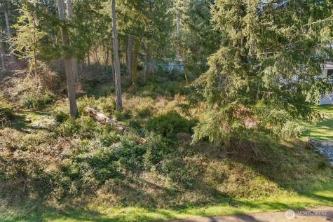 10514 100th Street Court Anderson Island WA 98303
