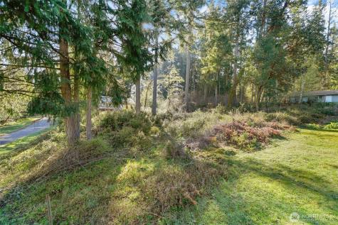 10514 100th Street Court Anderson Island WA 98303