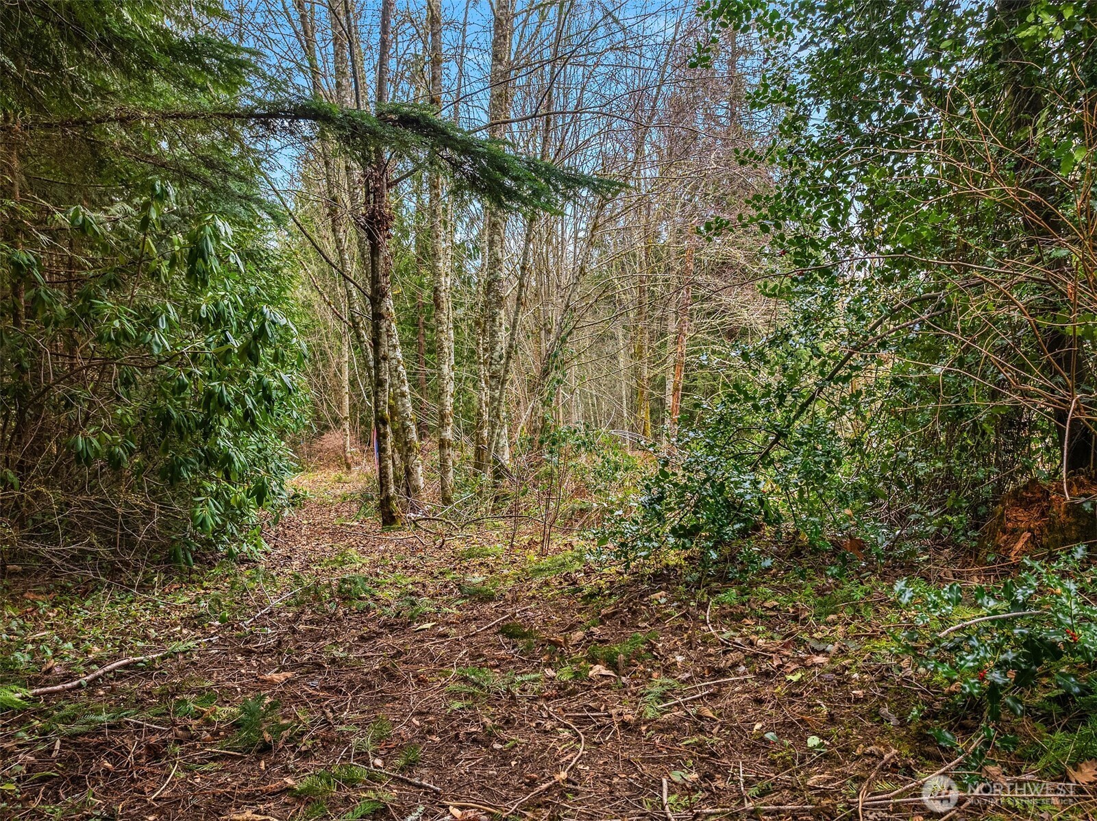 16 SE 259th Avenue Issaquah WA 98027