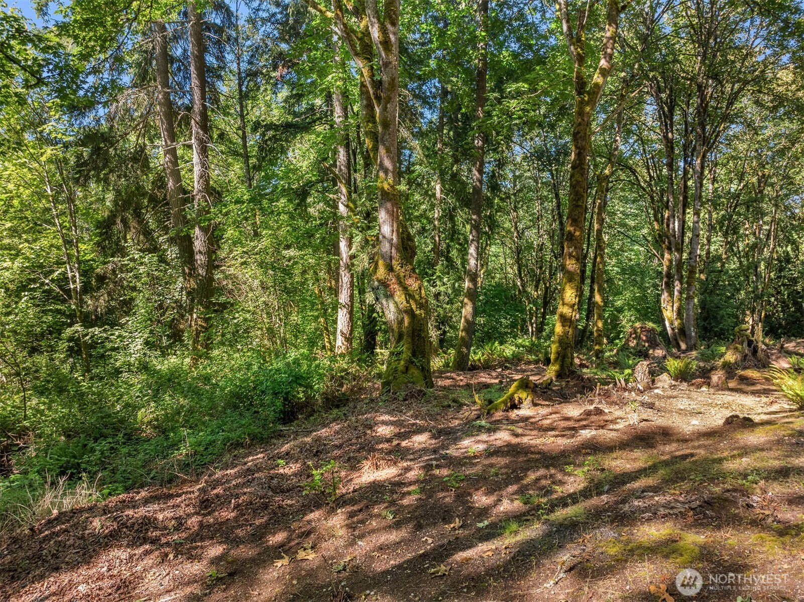 16 SE 259th Avenue Issaquah WA 98027