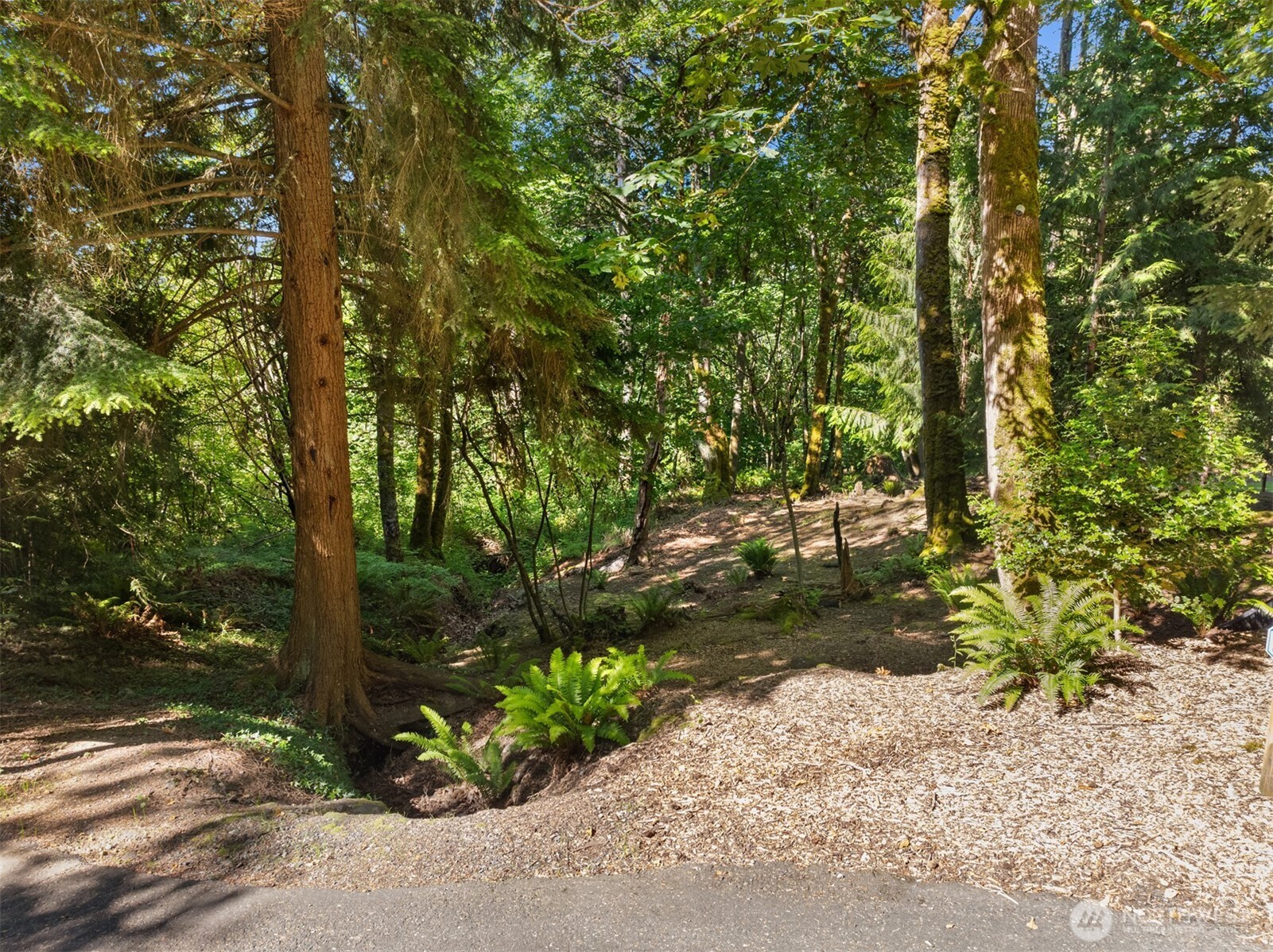 16 SE 259th Avenue Issaquah WA 98027