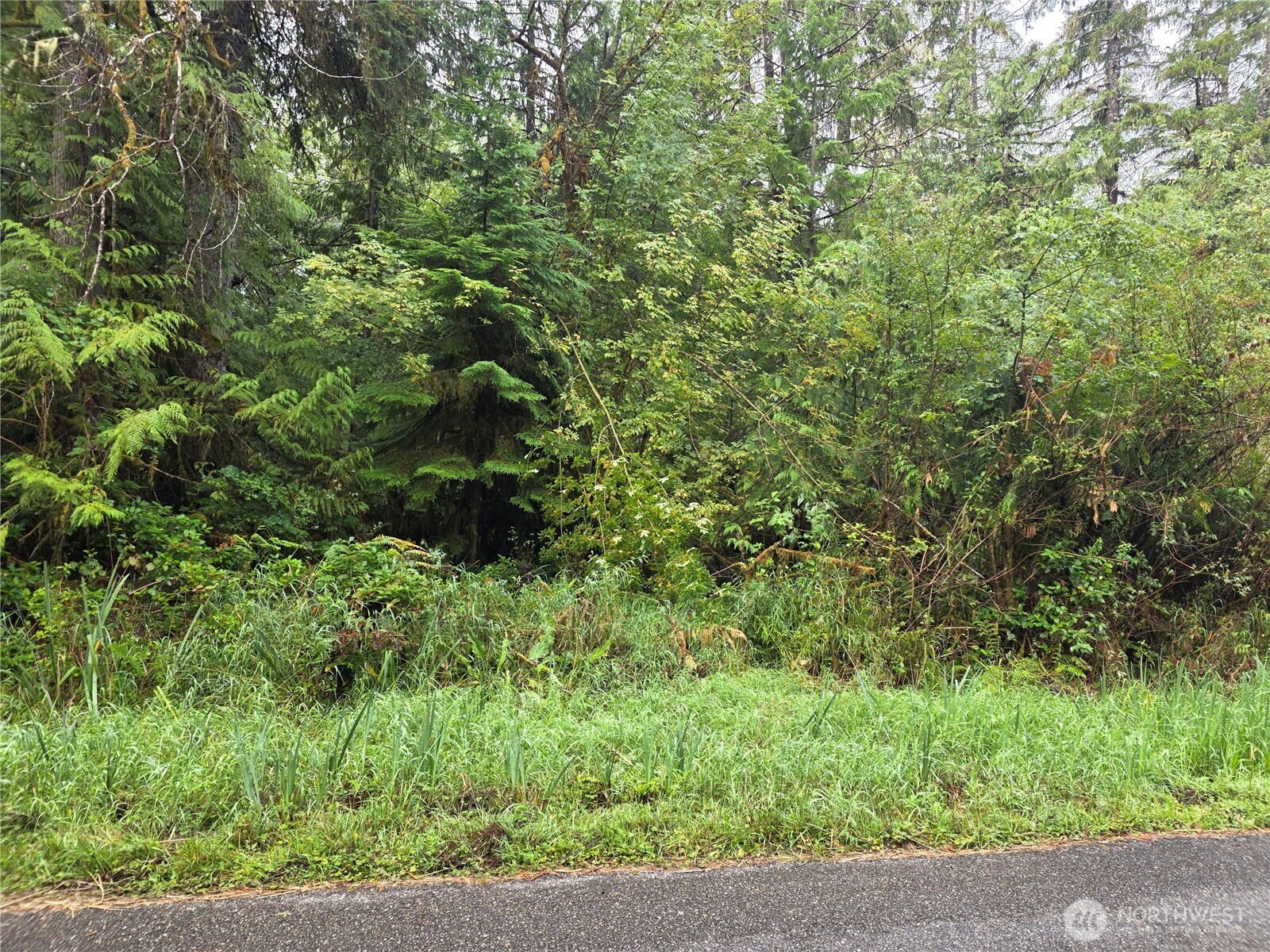 1581 E Phillips Lake Loop Road Shelton WA 98584