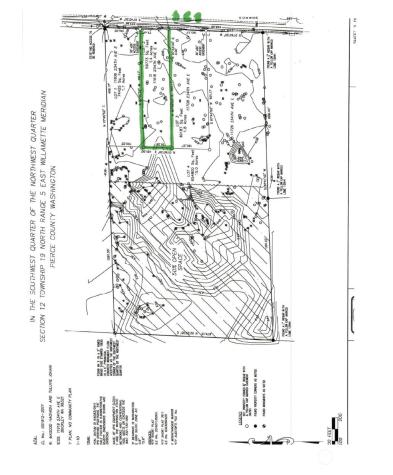 11618 234th Buckley WA 98321