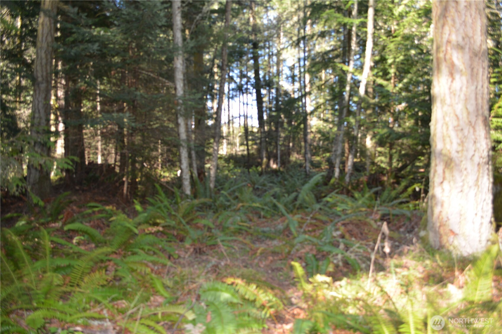 999 E Sequim Bay Road Sequim WA 98382