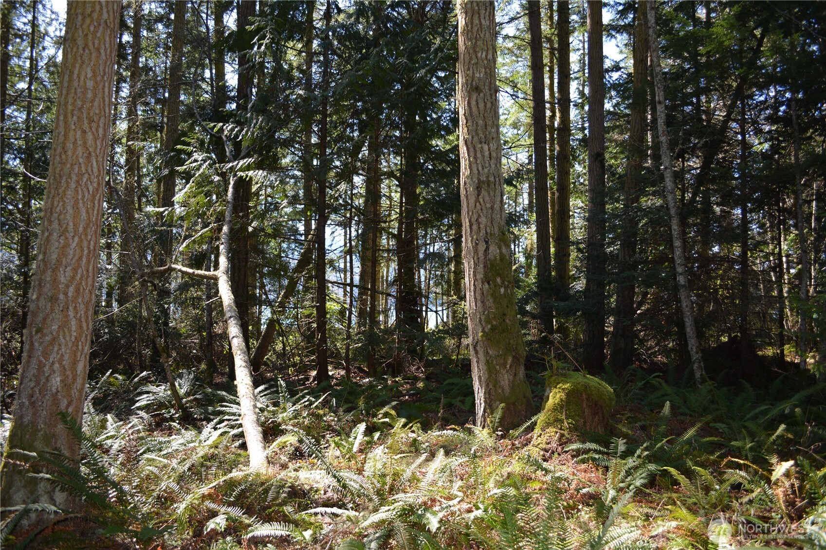 999 E Sequim Bay Road Sequim WA 98382