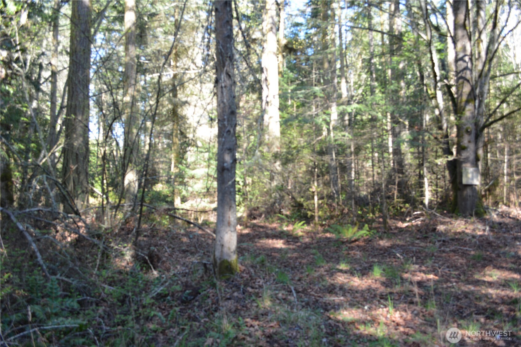 999 E Sequim Bay Road Sequim WA 98382